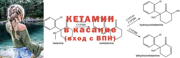 гашиш Касимов