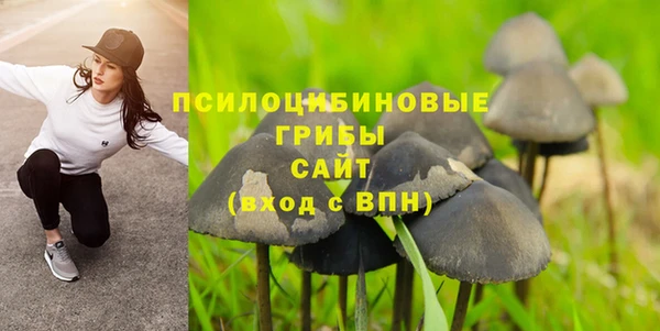 MESCALINE Карпинск
